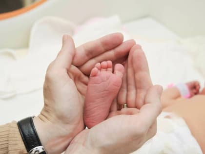 Семьи с новорожденными в Московской области получили более 300 млн рублей