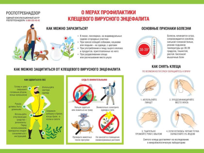 Осторожно, клещи: памятка для каширян