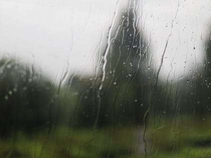 В Подмосковье ожидается сильный ветер и дождь