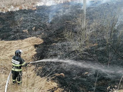 Огнеборцы Государственного казенного учреждения Московской области «Московская областная противопожарно-спасательная служба» за сутки ликвидировали более 11 возгораний сухой травы 