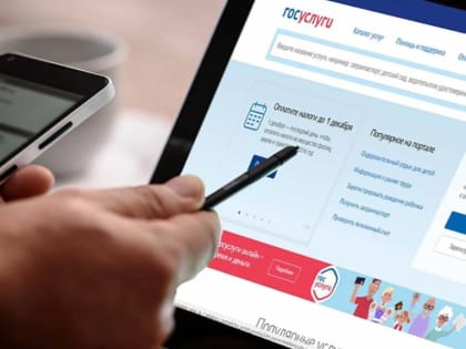 Убедитесь в отсутствии налоговой задолженности