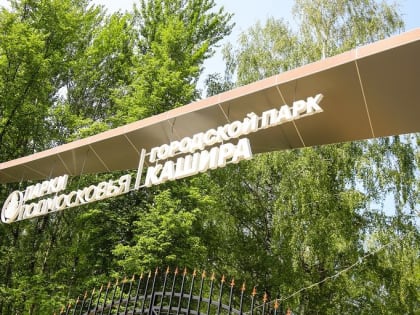 Фестиваль йоги «YOGA LIFE» в Кашире