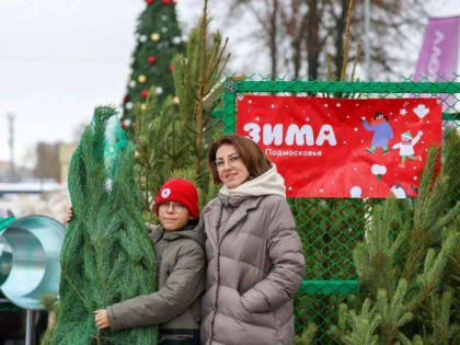 В Подольске открылись новогодние ёлочные базары