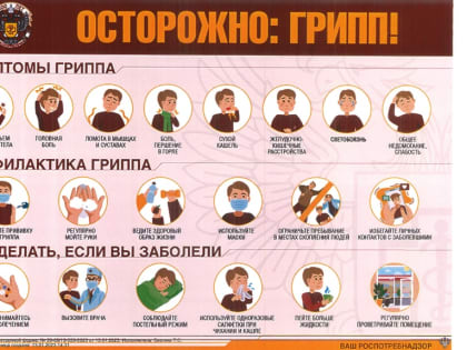 Об основных мерах профилактики гриппа и ОРВИ