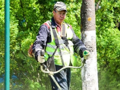 Уборка и благоустройство в Кашире продолжаются