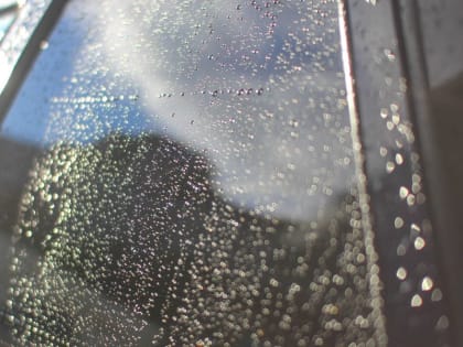 Жителям Подмосковья обещают в выходные спад жары и дожди