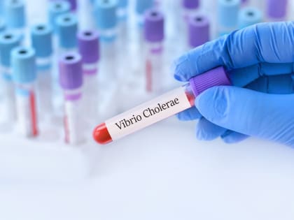 ВОЗ: Миллиард людей на Земле рискуют заболеть холерой