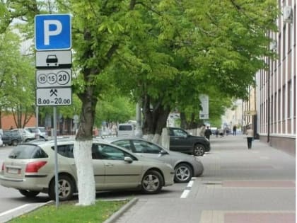 Теперь многодетные семьи смогут бесплатно парковать машину на платной стоянке в Подмосковье