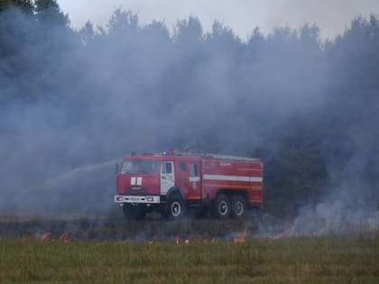 Четыре пожара ликвидировано на прошлой неделе на территории лесного фонда в Подмосковье
