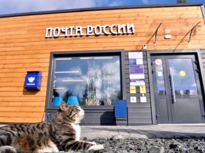 Более 200 000 упаковок семян уже купили: жители Москвы и Подмосковья готовятся к дачному сезону