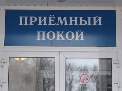 В Подмосковье разбушевались опасные твари