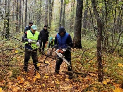 Уборка территорий в Кашире продолжается