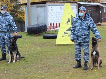 В Дмитрове полицейские совместно с общественниками приняли участия в торжественном открытии спортивного соревнования