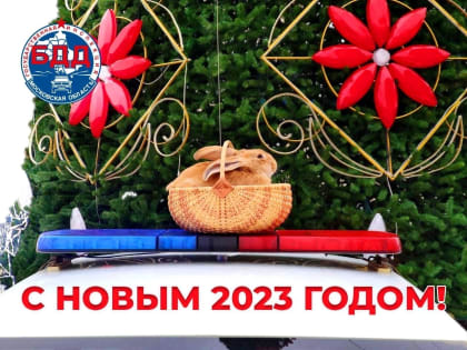 Госавтоинспекция поздравляет с праздниками!