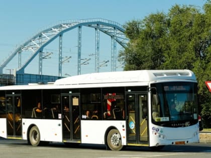 Внимание: опрос!