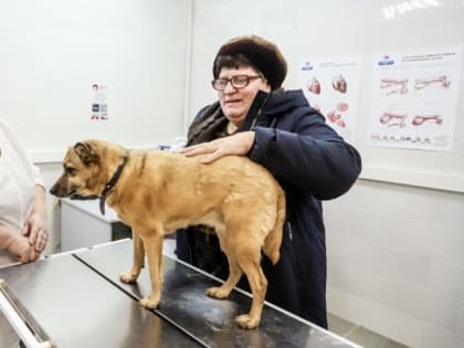 Ветеринарная лечебница открыта в микрорайоне Ожерелье