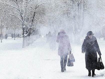 Поэтическая борьба стихий развернётся в Подмосковье на выходных