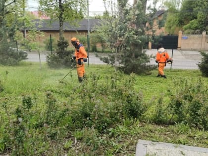 Службы провели работы по обработке газонов в поселении Воскресенское
