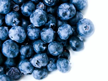 Эксперты напомнили о пользе голубики