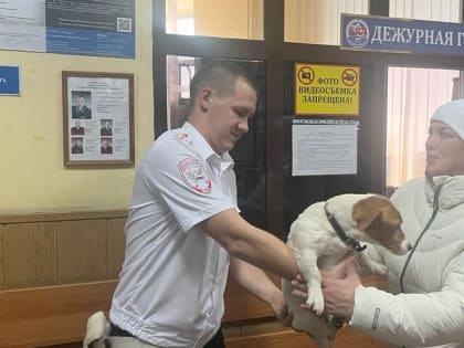 Сотрудники Госавтоинспекции Каширы вернули хозяйке любимого питомца