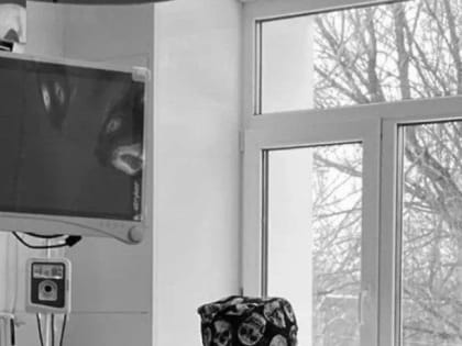 Врачи Луховиц провели женщине лечебно‑косметическую операцию по улучшению качества жизни