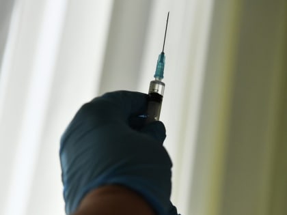 Как защититься от вируса Марбург: советы для жителей Подмосковья