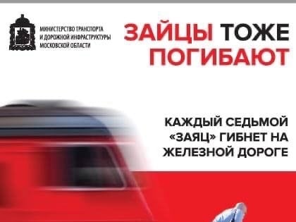 Правила поведения на железной дороге Правила безопасного поведения на объектах ж\д транспорта