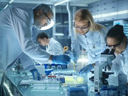 Учёные из России создали ИИ для идентификации опухолей мозга