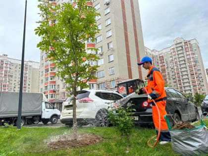 Благоустройство территорий продолжили в Воскресенском