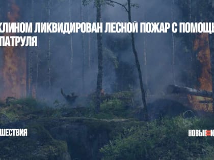 Под Клином ликвидирован лесной пожар с помощью авиапатруля