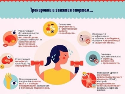 Физическая активность - любые движения организма, производимые скелетными мышцами и требующие расхода энергии.