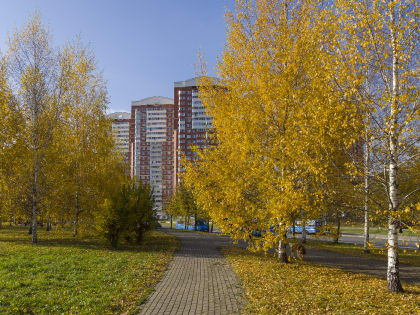 Терапевт Звонарева: Бабье лето грозит людям скачками давления