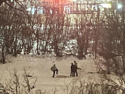 Жителям Орехово-Зуевского округа постоянно напоминают об опасности ледяного покрова реки