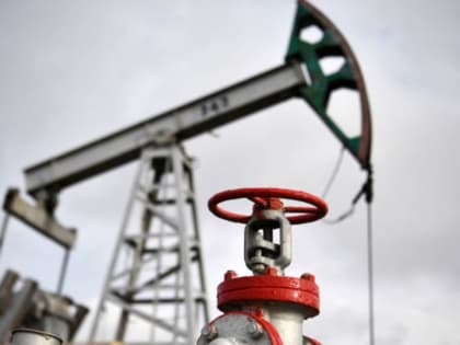 Индийские компании теперь платят за российскую нефть дирхамами