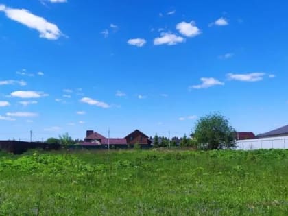 В Талдомском округе на торги выставили 31 участок под строительство дома