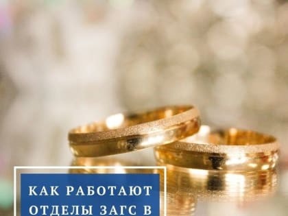 Как работают отделы ЗАГС в Орехово-Зуевском округе в майские праздники?