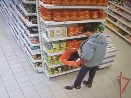 Росгвардейцы задержали жителя Орехово-Зуева, подозреваемого в краже косметической продукции