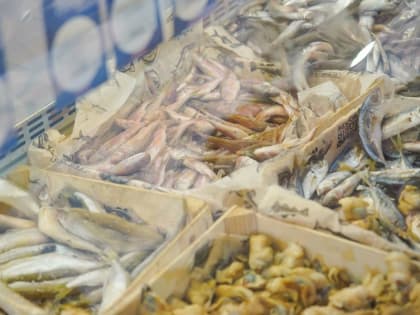 Рыбохозяйствам Подмосковья выделили дополнительные средства