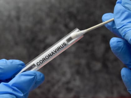 Россиян предупредили о приближении пика заболеваемости коронавирусом