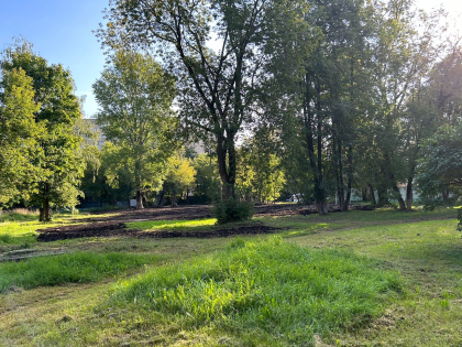 В поселке Люберец снесли заброшенное нежилое здание