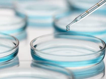 Российские исследователи получили новые данные о магнитных органеллах бактерий для онкотерапии