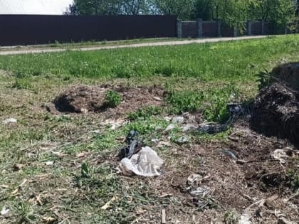 Зарайские волонтеры помогли пенсионерке сложить дрова в сарай.