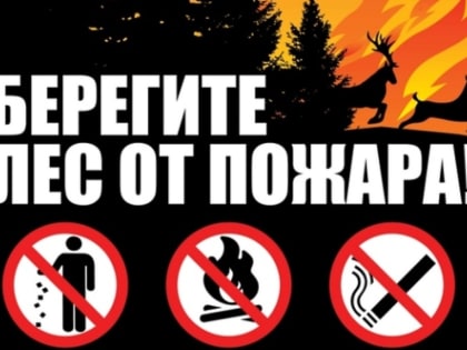 Береги лес!