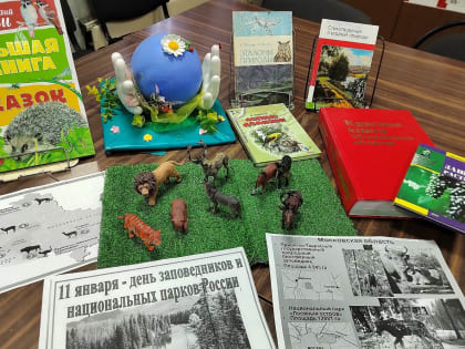 В Краснооктябрьской библиотеке рассказали о заповедниках