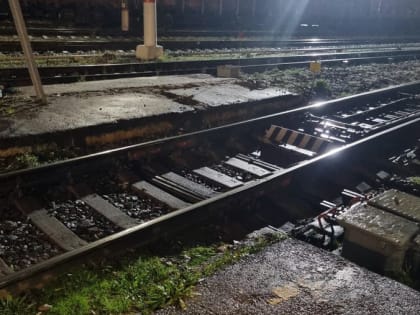 С января этого года на ж/д дороге Подмосковья провели более 400 рейдов