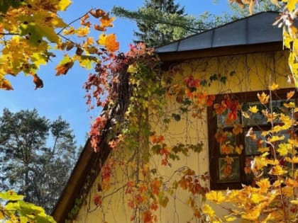 Как адрес садового дома влияет на «сельский тариф» по электроэнергии