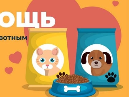 Благотворительный сбор корма для бездомных животных в подмосковной Кашире