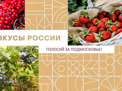 Солнечногорцы голосуют за Подмосковье