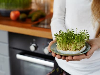 В Москве предоставят гранты городским агрофермам