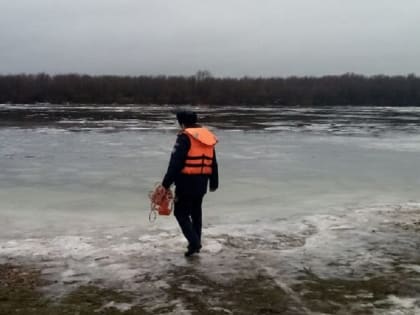 Спасатели ГКУ МО «Мособлпожспас» рекомендовали подмосковным рыбакам завершать сезон подледного лова